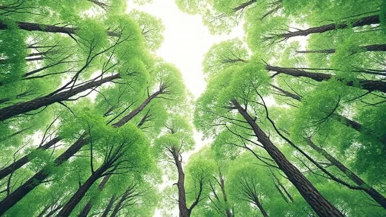 地球上已無未被人類影響的自然